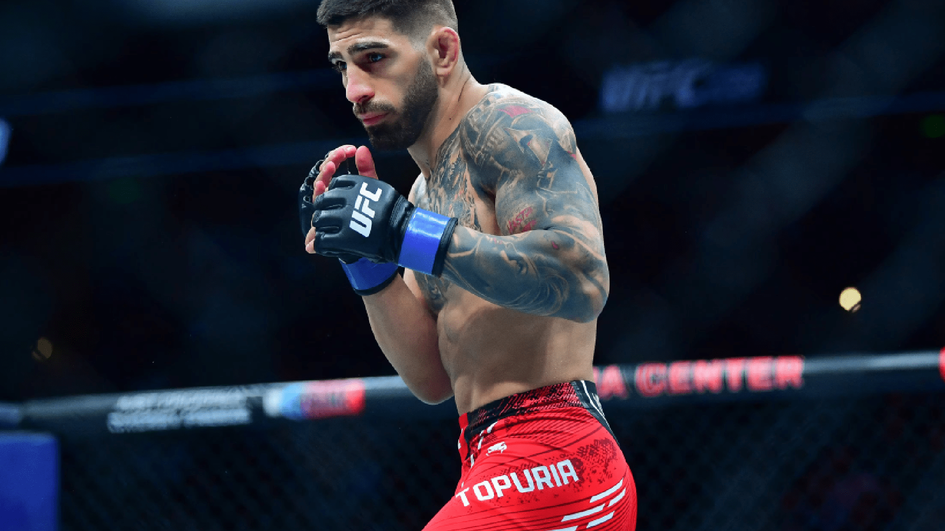 UFC 316: Underdog Sean O’Malley is Attracting Lots of Money